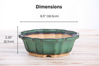 Willow Bonsai Ceramics Flower Design Bonsai Pot 6.5 Inch – Elegant Ceramic Bonsai & Succulent Planter, High‑Fired Frost‑Proof Stoneware with Drainage & Wiring Holes, Handmade in USA (Avocado)