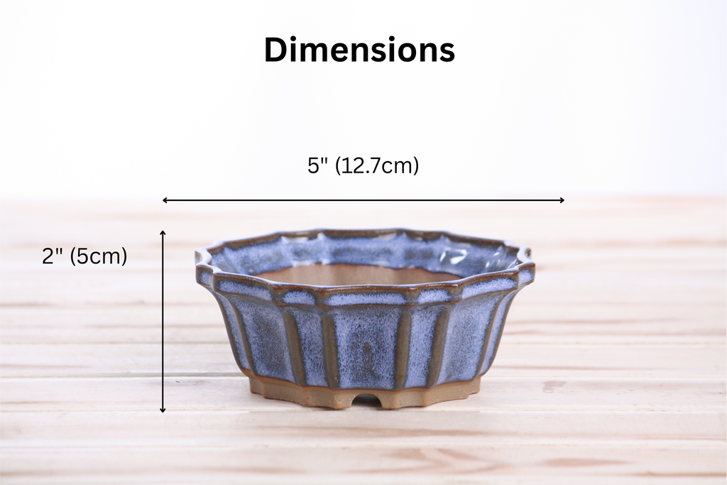 Willow Bonsai Ceramics Flower Design Bonsai Pot 5 Inch – Elegant Ceramic Bonsai & Succulent Planter, High‑Fired Frost‑Proof Stoneware with Drainage & Wiring Holes, Handmade in USA (Denim)