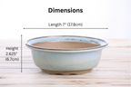 Willow Bonsai Ceramics Round Bonsai Pot 7 Inch – Round Ceramic Bonsai & Succulent Planter with Accentuated Rim and Sculpted Foot Ring, High‑Fired Frost‑Proof Stoneware, Handmade in USA (Glacier)