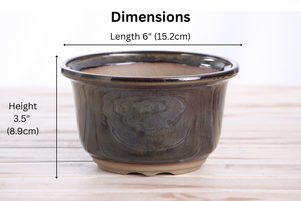 Willow Bonsai Ceramics Flute Bonsai Pot 6 Inch – Round Semi‑Cascade Ceramic Bonsai & Succulent Planter with Fluted Profile and Banded Base, High‑Fired Frost‑Proof Stoneware, Handmade in USA (Dark Honey)