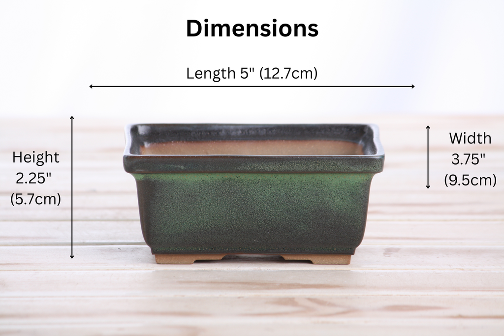 Willow Bonsai Ceramics Rectangle Deep Bonsai Pot 5 Inch – Higher‑Profile Rectangular Ceramic Bonsai & Succulent Planter with Accentuated Rim, High‑Fired Frost‑Proof Stoneware, Handmade in USA (Avocado)