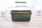 Willow Bonsai Ceramics Rectangle Deep Bonsai Pot 5 Inch – Higher‑Profile Rectangular Ceramic Bonsai & Succulent Planter with Accentuated Rim, High‑Fired Frost‑Proof Stoneware, Handmade in USA (Avocado)