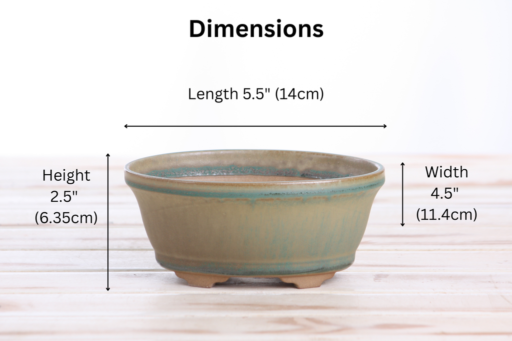 Willow Bonsai Ceramics Oval B Bonsai Pot 5.5 Inch – Tapered Oval Ceramic Bonsai & Succulent Planter with Accentuated Rim, High‑Fired Frost‑Proof Stoneware, Handmade in USA (Speckled Moss)