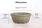 Willow Bonsai Ceramics Oval B Bonsai Pot 5.5 Inch – Tapered Oval Ceramic Bonsai & Succulent Planter with Accentuated Rim, High‑Fired Frost‑Proof Stoneware, Handmade in USA (Speckled Moss)