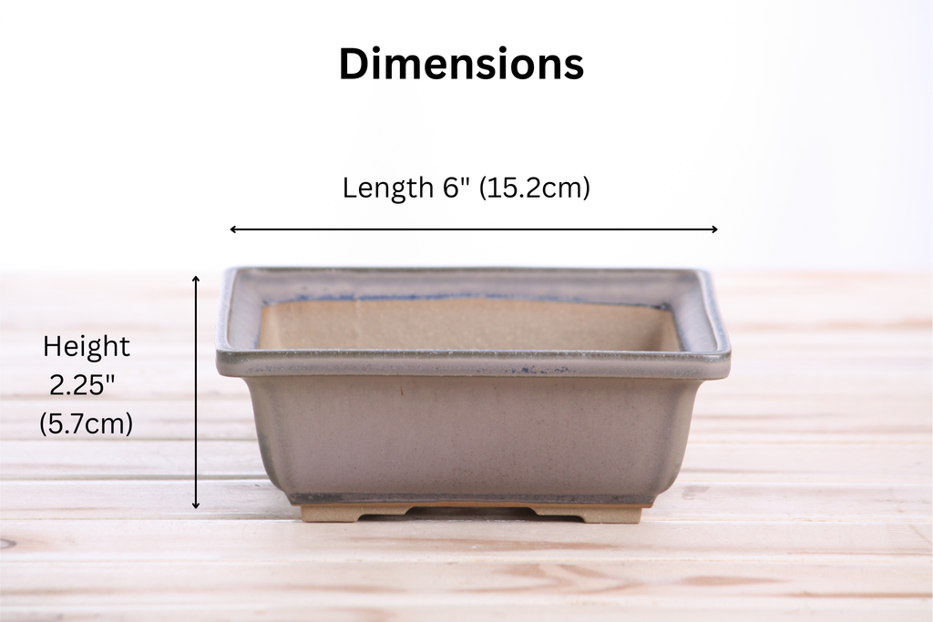 Willow Bonsai Ceramics Square Bonsai Pot 6 Inch – Low‑Profile Square Ceramic Bonsai & Succulent Planter with Accentuated Rim, High‑Fired Frost‑Proof Stoneware, Handmade in USA (Ocean)