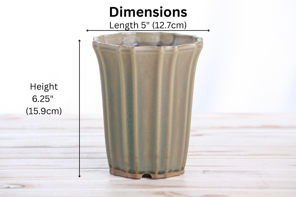 Willow Bonsai Ceramics Flower Design Cascade Bonsai Pot 5 Inch – Elegant Tall Ceramic Bonsai & Succulent Planter, High‑Fired Frost‑Proof Stoneware with Drainage & Wiring Holes, Handmade in USA (Speckled Moss)