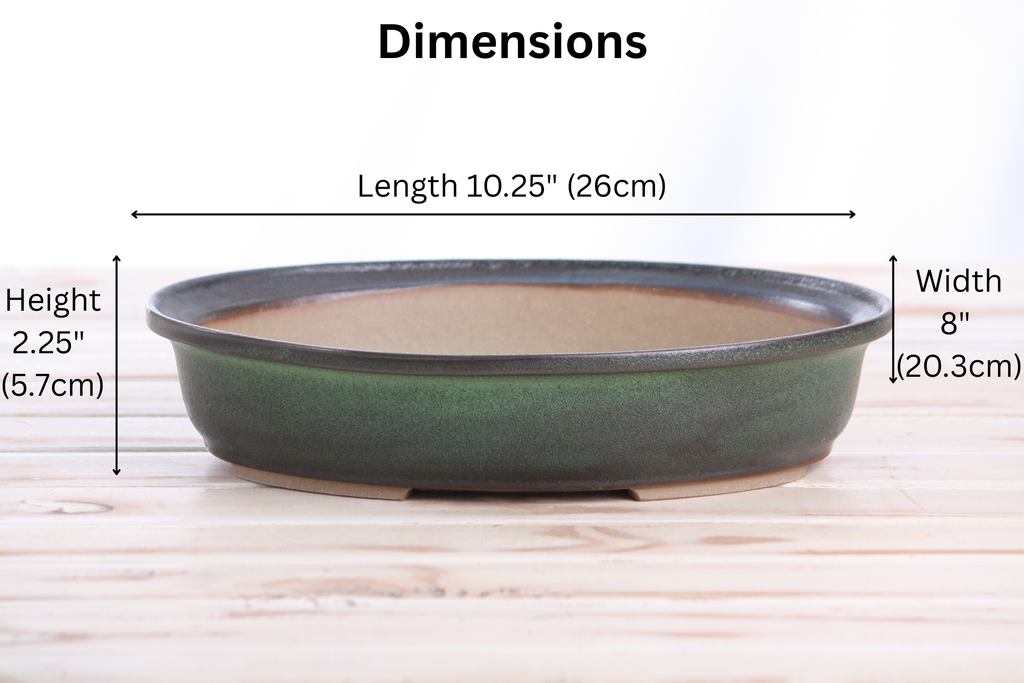 Willow Bonsai Ceramics Landscape Oval A Bonsai Pot 10 Inch – Large Oval Ceramic Bonsai Planter for Forest, Group & Specimen Tree Plantings, High‑Fired Frost‑Proof Stoneware, Handmade in USA (Avocado)
