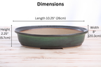 Willow Bonsai Ceramics Landscape Oval A Bonsai Pot 10 Inch – Large Oval Ceramic Bonsai Planter for Forest, Group & Specimen Tree Plantings, High‑Fired Frost‑Proof Stoneware, Handmade in USA (Avocado)