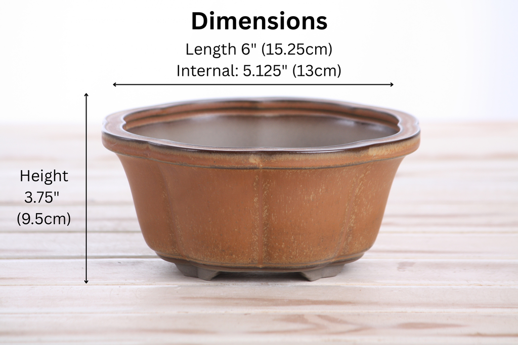 Lotus A Bonsai Pot 6 Inch – Semi‑Cascade Ceramic Planter with Scalloped Sides, High‑Fired Frost‑Proof Stoneware, Handmade in USA (Deep Stone)
