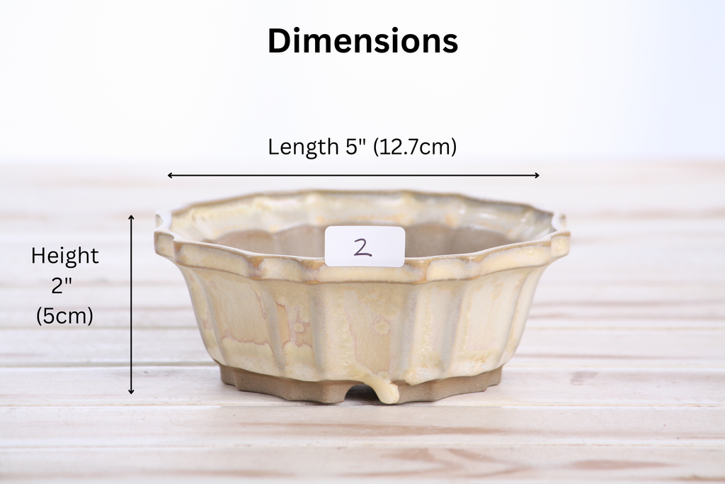 Willow Bonsai Ceramics Flower Design Bonsai Pot 5 Inch – Elegant Ceramic Bonsai & Succulent Planter, High‑Fired Frost‑Proof Stoneware with Drainage & Wiring Holes, Handmade in USA (Limited Edition 2)