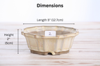 Willow Bonsai Ceramics Flower Design Bonsai Pot 5 Inch – Elegant Ceramic Bonsai & Succulent Planter, High‑Fired Frost‑Proof Stoneware with Drainage & Wiring Holes, Handmade in USA (Limited Edition 2)