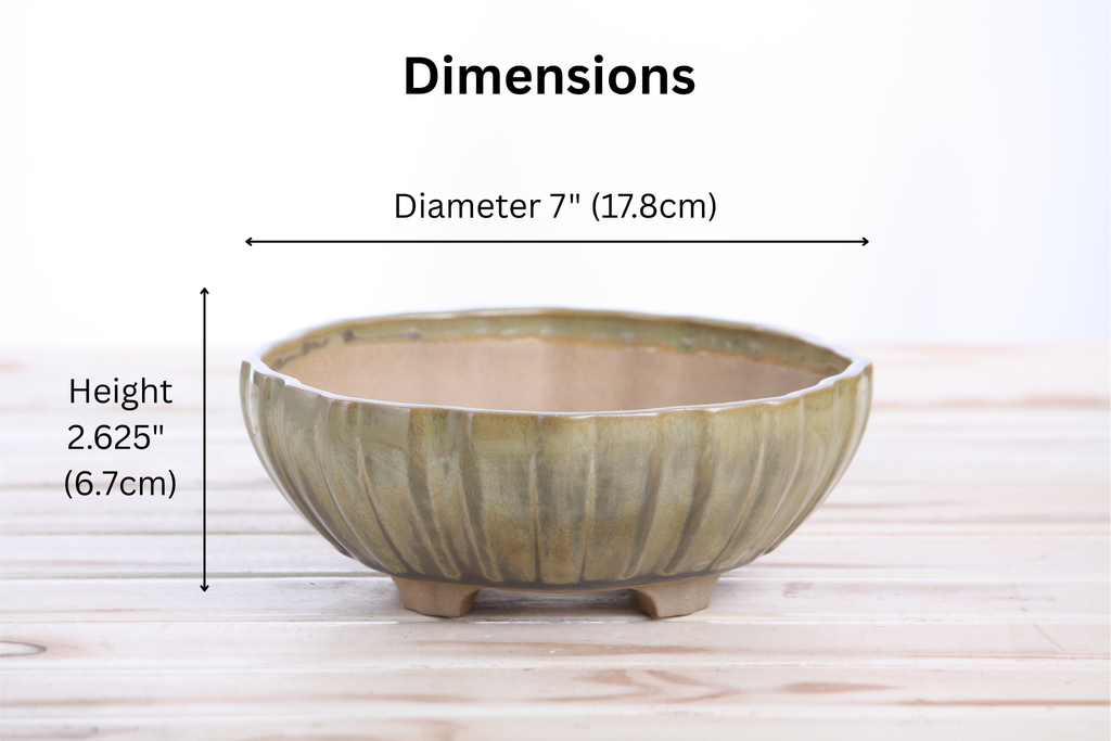 Willow Bonsai Ceramics Lily Bonsai Pot 7 Inch – Sculpted Rounded Ceramic Bonsai & Succulent Planter with Wavy Profile, High‑Fired Frost‑Proof Stoneware, Handmade in USA (Copenhagen)
