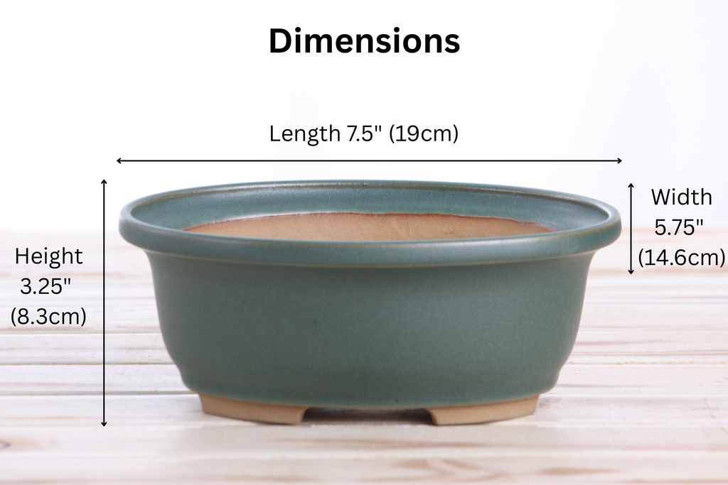 Willow Bonsai Ceramics Fat Bonsai Pot 7.5 Inch – Bold Oval Ceramic Bonsai & Succulent Planter with Accentuated Rim, High‑Fired Frost‑Proof Stoneware, Handmade in USA (Seaweed 2025)