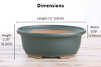 Willow Bonsai Ceramics Fat Bonsai Pot 7.5 Inch – Bold Oval Ceramic Bonsai & Succulent Planter with Accentuated Rim, High‑Fired Frost‑Proof Stoneware, Handmade in USA (Seaweed 2025)