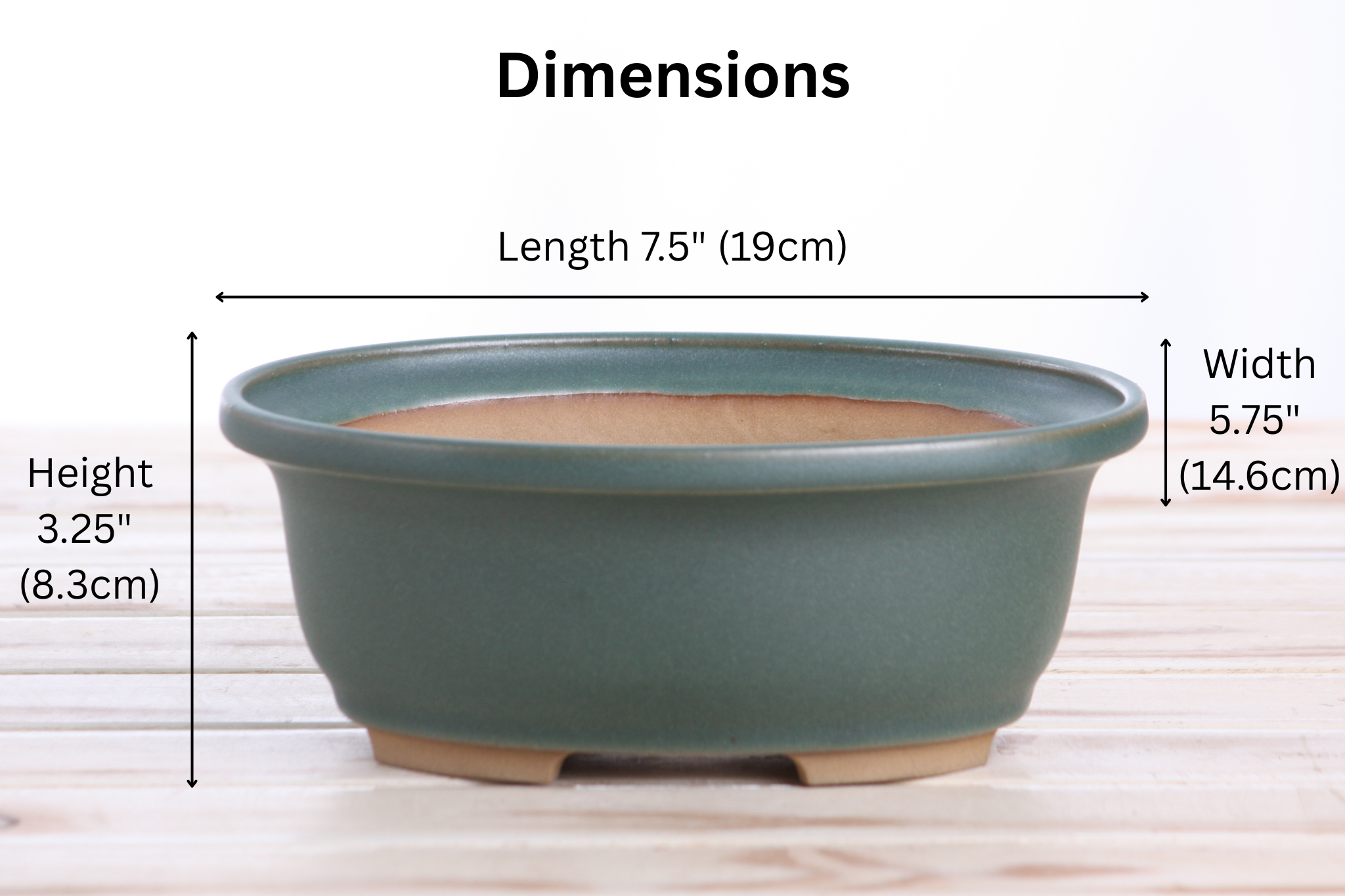 Willow Bonsai Ceramics Fat Bonsai Pot 7.5 Inch – Bold Oval Ceramic Bonsai & Succulent Planter with Accentuated Rim, High‑Fired Frost‑Proof Stoneware, Handmade in USA (Seaweed 2025)