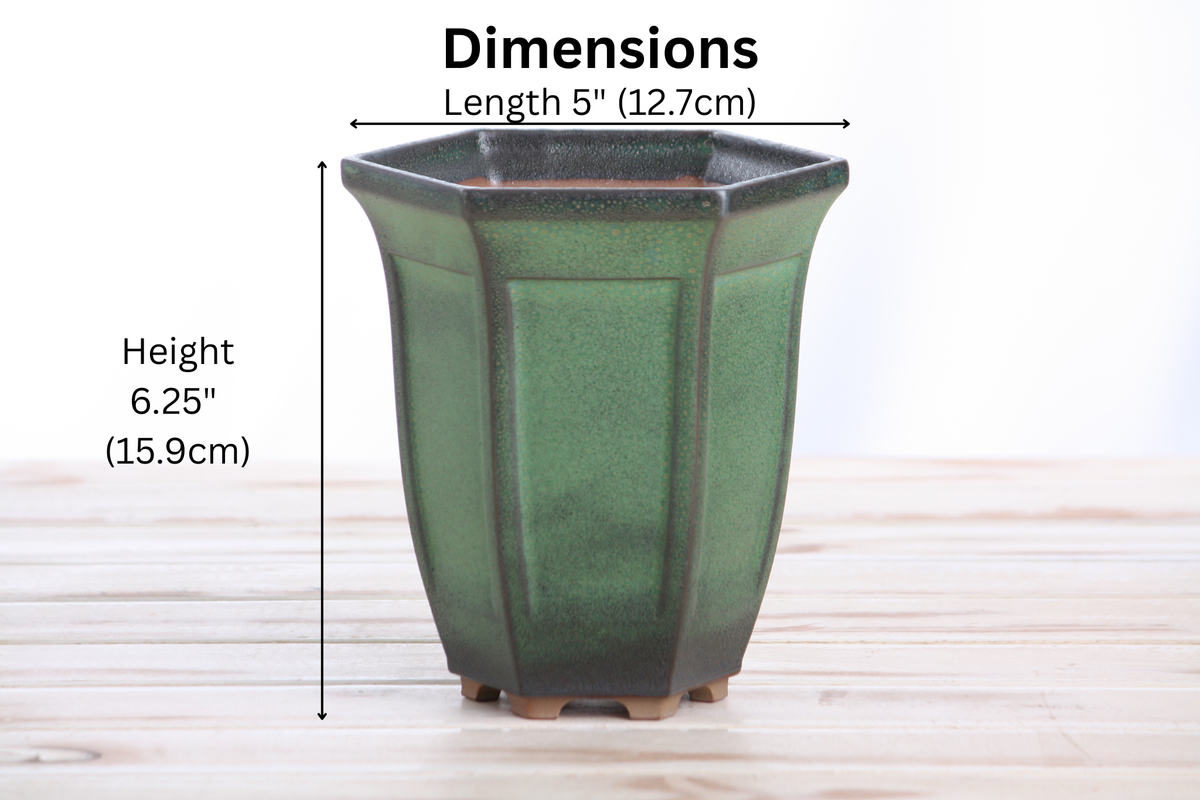 Willow Bonsai Ceramics Hexagonal Windowed Cascade Bonsai Pot 5 Inch – Tall Ceramic Cascade Planter, High‑Fired Frost‑Proof Stoneware with Drainage & Wiring Holes, Handmade in USA (Avocado)