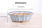 Willow Bonsai Ceramics Flower Design Bonsai Pot 8 Inch – Elegant Ceramic Bonsai & Succulent Planter, High‑Fired Frost‑Proof Stoneware with Drainage & Wiring Holes, Handmade in USA (Glacier)