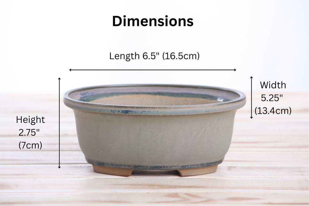 Willow Bonsai Ceramics Fat Bonsai Pot 6.5 Inch – Bold Oval Ceramic Bonsai & Succulent Planter with Accentuated Rim, High‑Fired Frost‑Proof Stoneware, Handmade in USA (Ocean)