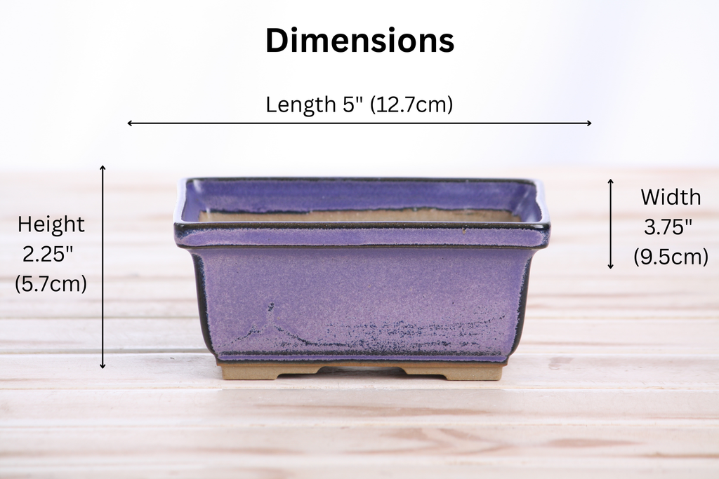 Willow Bonsai Ceramics Rectangle Deep Bonsai Pot 5 Inch – Higher‑Profile Rectangular Ceramic Bonsai & Succulent Planter with Accentuated Rim, High‑Fired Frost‑Proof Stoneware, Handmade in USA (Purple)