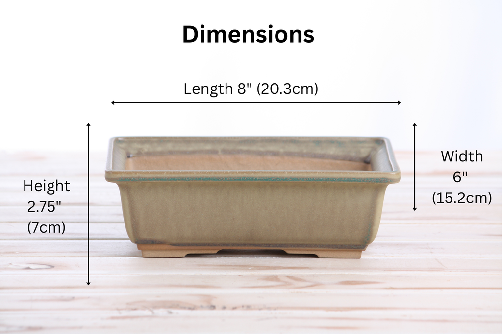 Willow Bonsai Ceramics Rectangle Bonsai Pot 8 Inch – Lower‑Profile Rectangular Ceramic Bonsai & Succulent Planter with Accentuated Rim, High‑Fired Frost‑Proof Stoneware, Handmade in USA (Speckled Moss)