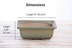 Willow Bonsai Ceramics Square Bonsai Pot 6 Inch – Low‑Profile Square Ceramic Bonsai & Succulent Planter with Accentuated Rim, High‑Fired Frost‑Proof Stoneware, Handmade in USA (Speckled Moss)