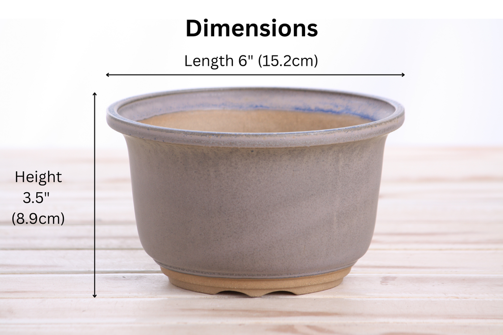 Willow Bonsai Ceramics Flute Bonsai Pot 6 Inch – Round Semi‑Cascade Ceramic Bonsai & Succulent Planter with Fluted Profile and Banded Base, High‑Fired Frost‑Proof Stoneware, Handmade in USA (Ocean)