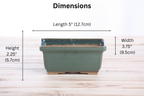 Willow Bonsai Ceramics Rectangle Deep Bonsai Pot 5 Inch – Higher‑Profile Rectangular Ceramic Bonsai & Succulent Planter with Accentuated Rim, High‑Fired Frost‑Proof Stoneware, Handmade in USA (Seaweed 2025)