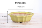 Willow Bonsai Ceramics Flower Design Bonsai Pot 8 Inch – Elegant Ceramic Bonsai & Succulent Planter, High‑Fired Frost‑Proof Stoneware with Drainage & Wiring Holes, Handmade in USA (Yellow)