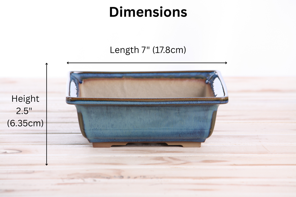 Willow Bonsai Ceramics Square Bonsai Pot 7 Inch – Low‑Profile Square Ceramic Bonsai & Succulent Planter with Accentuated Rim, High‑Fired Frost‑Proof Stoneware, Handmade in USA (Peacock 2025)