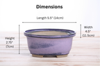 Willow Bonsai Ceramics Fat Bonsai Pot 5.5 Inch – Bold Oval Ceramic Bonsai & Succulent Planter with Accentuated Rim, High‑Fired Frost‑Proof Stoneware, Handmade in USA (Purple)