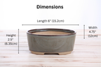 Willow Bonsai Ceramics Oval A Bonsai Pot 6 Inch – Straight‑Sided Oval Ceramic Bonsai & Succulent Planter, High‑Fired Frost‑Proof Stoneware with Drainage & Wiring Holes, Handmade in USA (Starry Night)