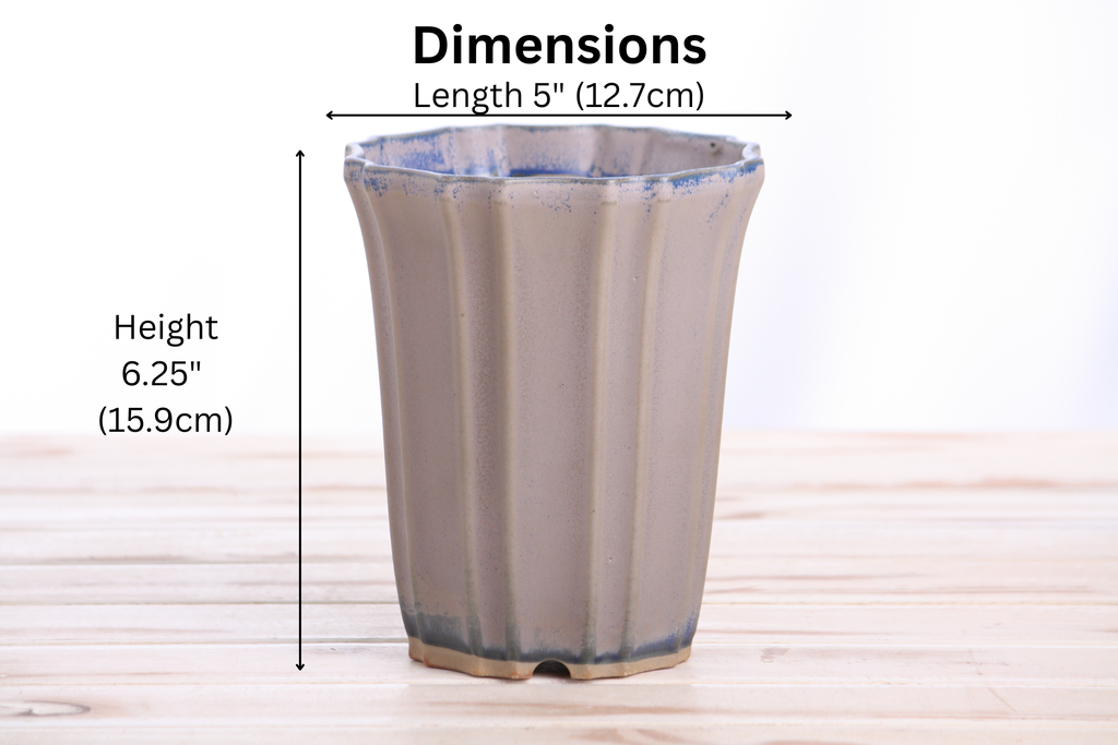Willow Bonsai Ceramics Flower Design Cascade Bonsai Pot 5 Inch – Elegant Tall Ceramic Bonsai & Succulent Planter, High‑Fired Frost‑Proof Stoneware with Drainage & Wiring Holes, Handmade in USA (Ocean)
