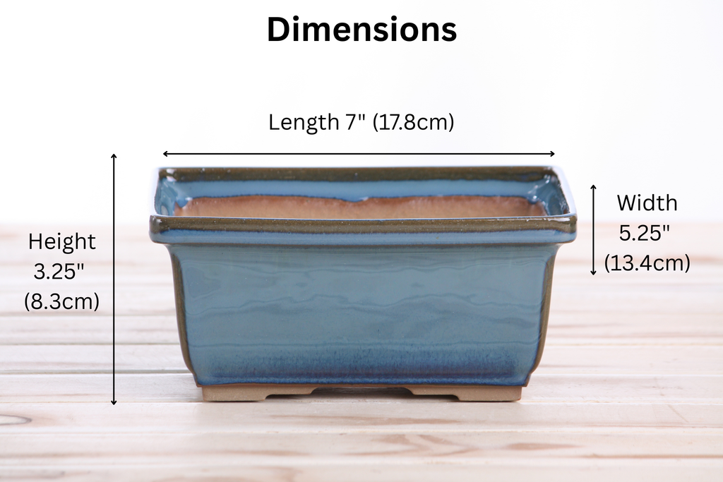 Willow Bonsai Ceramics Rectangle Deep Bonsai Pot 7 Inch – Higher‑Profile Rectangular Ceramic Bonsai & Succulent Planter with Accentuated Rim, High‑Fired Frost‑Proof Stoneware, Handmade in USA (Peacock 2025)