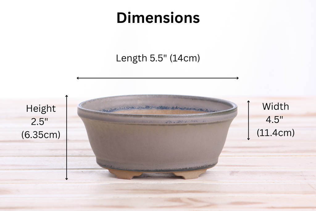 Willow Bonsai Ceramics Oval B Bonsai Pot 5.5 Inch – Tapered Oval Ceramic Bonsai & Succulent Planter with Accentuated Rim, High‑Fired Frost‑Proof Stoneware, Handmade in USA (Ocean)