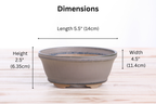 Willow Bonsai Ceramics Oval B Bonsai Pot 5.5 Inch – Tapered Oval Ceramic Bonsai & Succulent Planter with Accentuated Rim, High‑Fired Frost‑Proof Stoneware, Handmade in USA (Ocean)