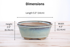 Willow Bonsai Ceramics Oval B Bonsai Pot 5.5 Inch – Tapered Oval Ceramic Bonsai & Succulent Planter with Accentuated Rim, High‑Fired Frost‑Proof Stoneware, Handmade in USA (Glacier)
