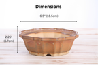 Willow Bonsai Ceramics Flower Design Bonsai Pot 6.5 Inch – Elegant Ceramic Bonsai & Succulent Planter, High‑Fired Frost‑Proof Stoneware with Drainage & Wiring Holes, Handmade in USA (Deep Stone)