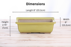 Willow Bonsai Ceramics Rectangle Bonsai Pot 8 Inch – Lower‑Profile Rectangular Ceramic Bonsai & Succulent Planter with Accentuated Rim, High‑Fired Frost‑Proof Stoneware, Handmade in USA (Yellow)