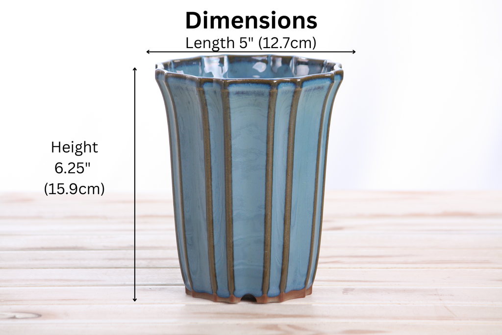 Willow Bonsai Ceramics Flower Design Cascade Bonsai Pot 5 Inch – Elegant Tall Ceramic Bonsai & Succulent Planter, High‑Fired Frost‑Proof Stoneware with Drainage & Wiring Holes, Handmade in USA (Peacock)