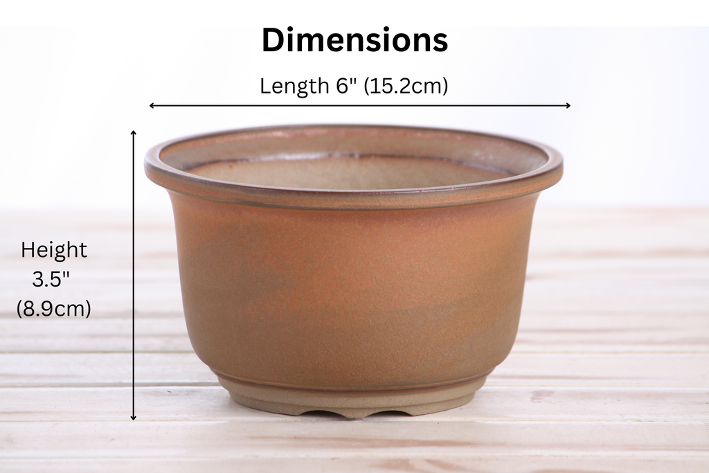 Willow Bonsai Ceramics Flute Bonsai Pot 6 Inch – Round Semi‑Cascade Ceramic Bonsai & Succulent Planter with Fluted Profile and Banded Base, High‑Fired Frost‑Proof Stoneware, Handmade in USA (Deep Stone)