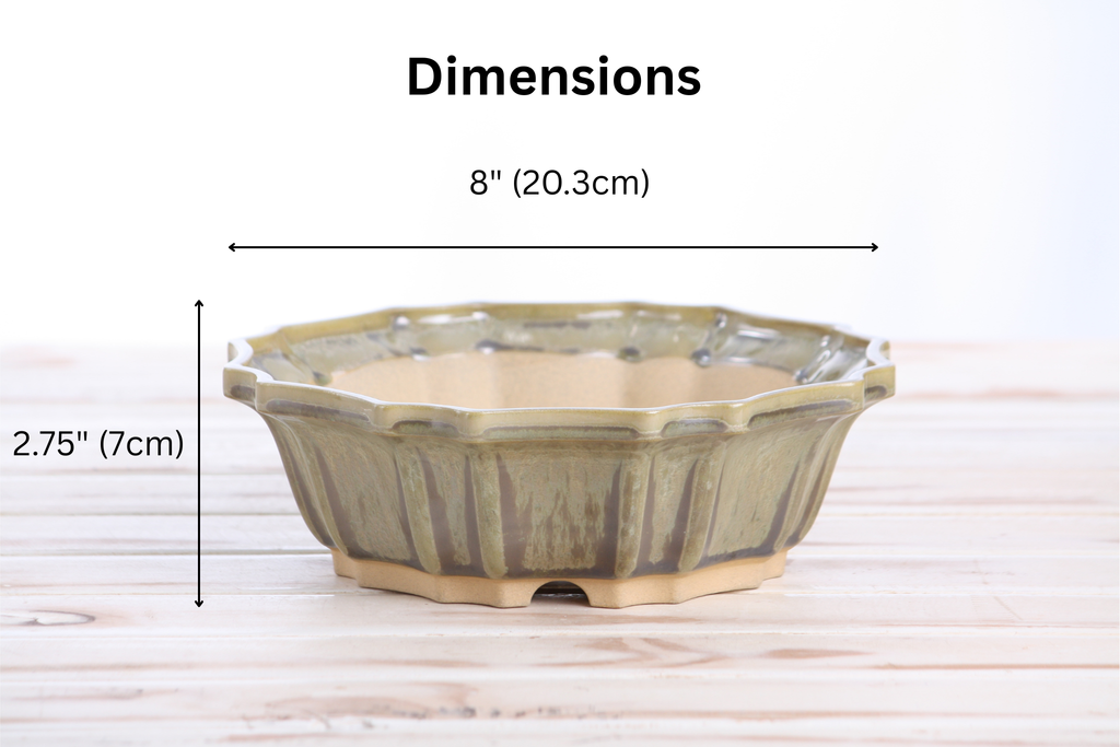Willow Bonsai Ceramics Flower Design Bonsai Pot 8 Inch – Elegant Ceramic Bonsai & Succulent Planter, High‑Fired Frost‑Proof Stoneware with Drainage & Wiring Holes, Handmade in USA (Copenhagen)