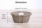Willow Bonsai Ceramics Flower Design Bonsai Pot 4.5 Inch – Elegant Ceramic Bonsai & Succulent Planter, High‑Fired Frost‑Proof Stoneware with Drainage & Wiring Holes, Handmade in USA (Limited Edition 4)