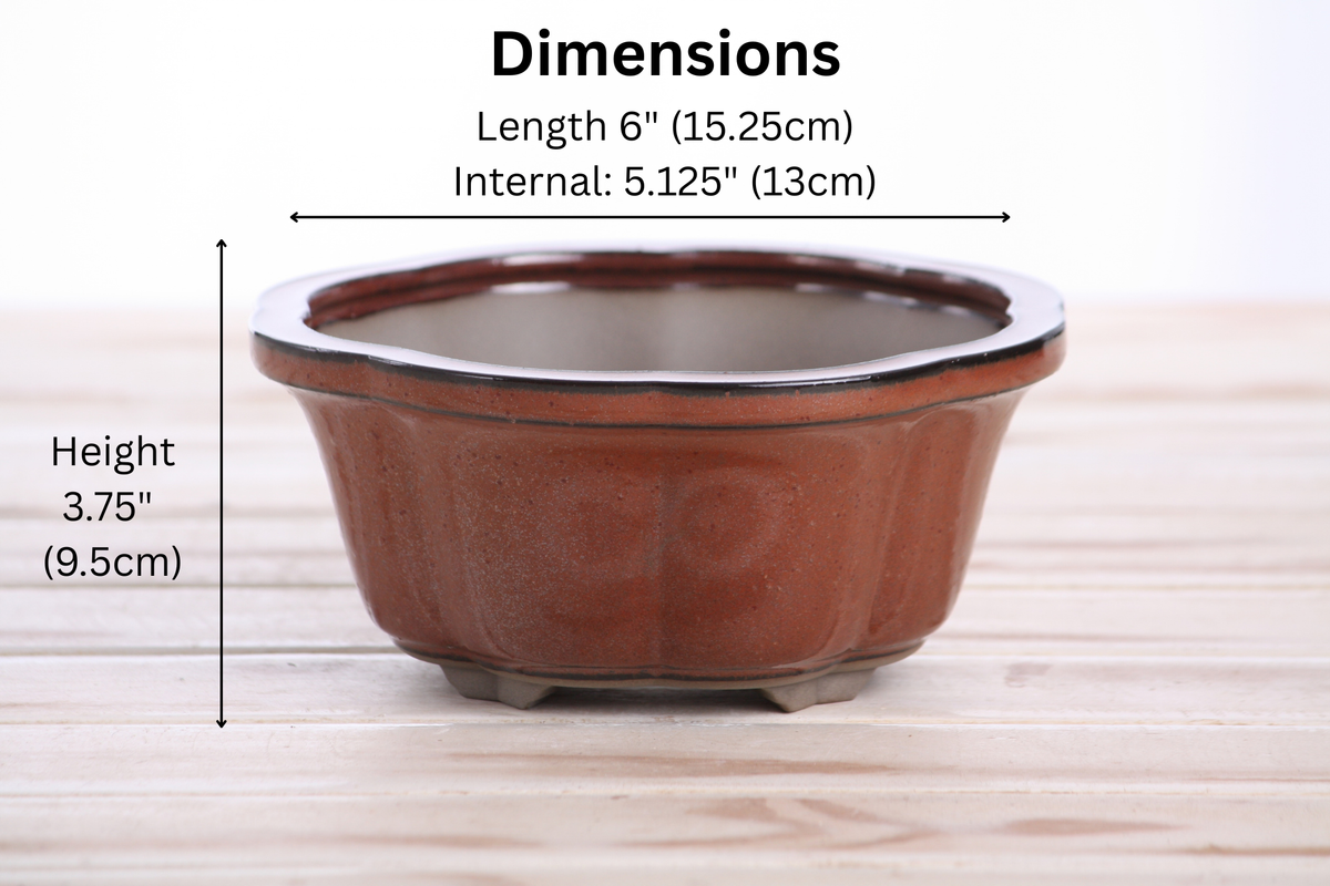 Lotus A Bonsai Pot 6 Inch – Semi‑Cascade Ceramic Planter with Scalloped Sides, High‑Fired Frost‑Proof Stoneware, Handmade in USA (Sunset)