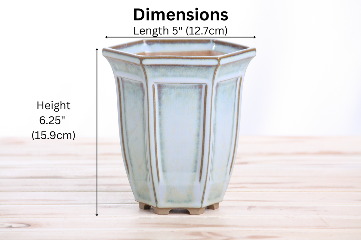 Willow Bonsai Ceramics Hexagonal Windowed Cascade Bonsai Pot 5 Inch – Tall Ceramic Cascade Planter, High‑Fired Frost‑Proof Stoneware with Drainage & Wiring Holes, Handmade in USA (Glacier)