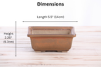 Willow Bonsai Ceramics Square Bonsai Pot 5.5 Inch – Low‑Profile Square Ceramic Bonsai & Succulent Planter with Accentuated Rim, High‑Fired Frost‑Proof Stoneware, Handmade in USA (Deep Stone)