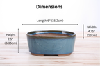 Willow Bonsai Ceramics Oval A Bonsai Pot 6 Inch – Straight‑Sided Oval Ceramic Bonsai & Succulent Planter, High‑Fired Frost‑Proof Stoneware with Drainage & Wiring Holes, Handmade in USA (Peacock 2025)