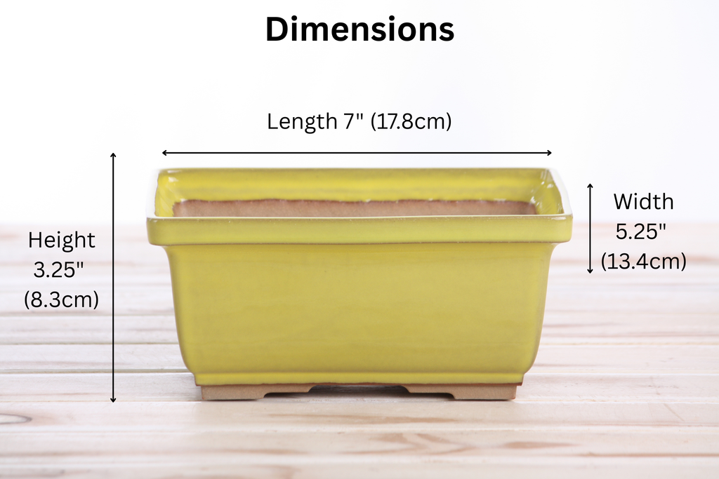 Willow Bonsai Ceramics Rectangle Deep Bonsai Pot 7 Inch – Higher‑Profile Rectangular Ceramic Bonsai & Succulent Planter with Accentuated Rim, High‑Fired Frost‑Proof Stoneware, Handmade in USA (Yellow)