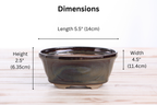 Willow Bonsai Ceramics Oval B Bonsai Pot 5.5 Inch – Tapered Oval Ceramic Bonsai & Succulent Planter with Accentuated Rim, High‑Fired Frost‑Proof Stoneware, Handmade in USA (Dark Honey)