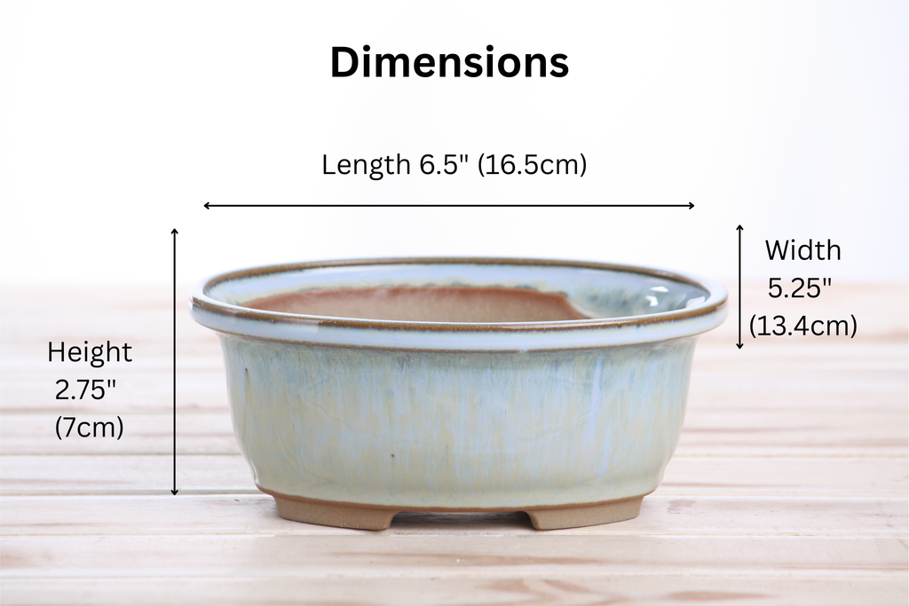 Willow Bonsai Ceramics Fat Bonsai Pot 6.5 Inch – Bold Oval Ceramic Bonsai & Succulent Planter with Accentuated Rim, High‑Fired Frost‑Proof Stoneware, Handmade in USA (Glacier)