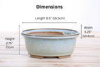 Willow Bonsai Ceramics Fat Bonsai Pot 6.5 Inch – Bold Oval Ceramic Bonsai & Succulent Planter with Accentuated Rim, High‑Fired Frost‑Proof Stoneware, Handmade in USA (Glacier)